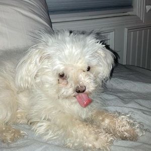 Meet your Posher, Max